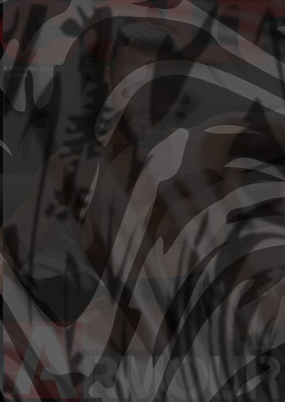 Photo of Armour