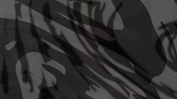 Image of Underwear/Bathing Suit