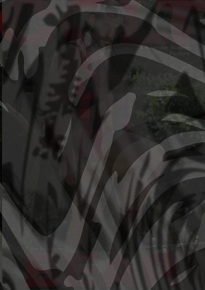 Photo of Bear