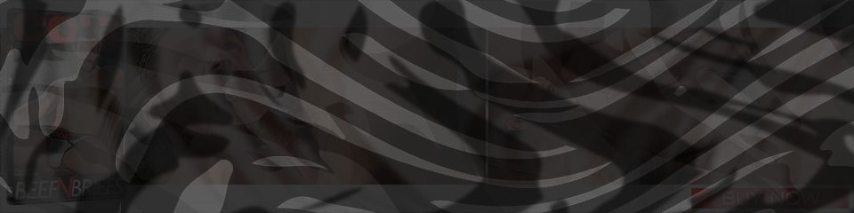 Banner of CSP029_DVD_Banner
