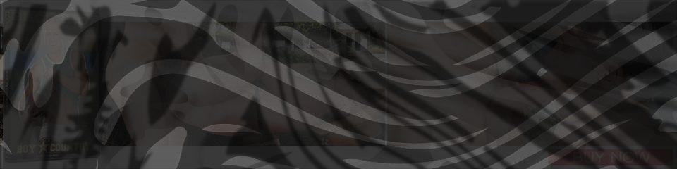 Banner of BSP015_DVD_Banner