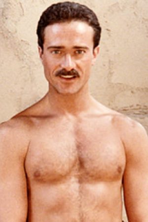 Photo of Steve Collins