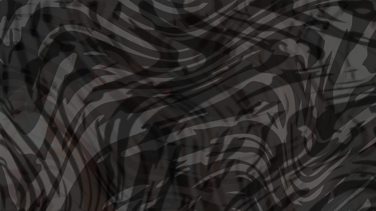 Photo of Bear Scene 3