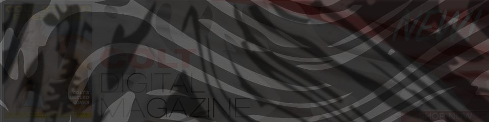 Banner of 1_New_Digital_Mag