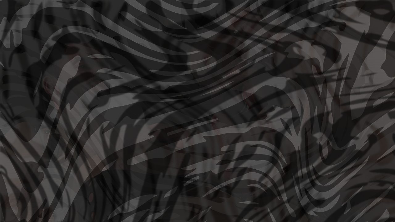 Photo of Armour Scene 5