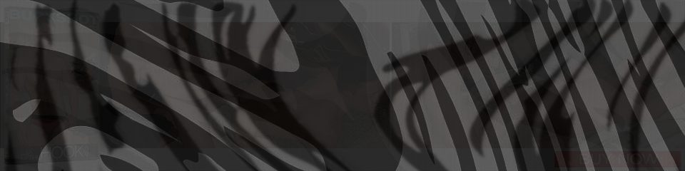 Banner of BSP027_DVD_Banner