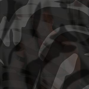 Photo of Ross Taylor
