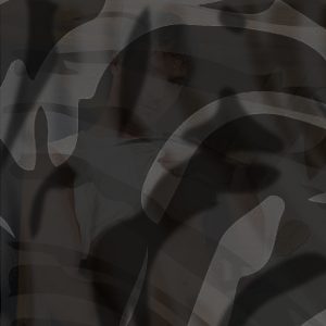 Photo of Flavio Valentino