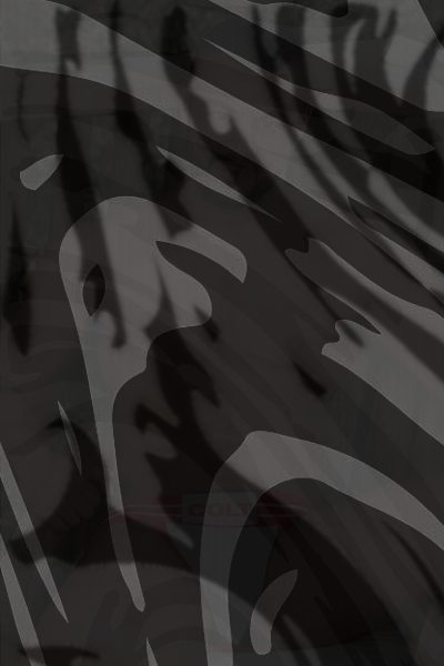 Photo of Tony Orion