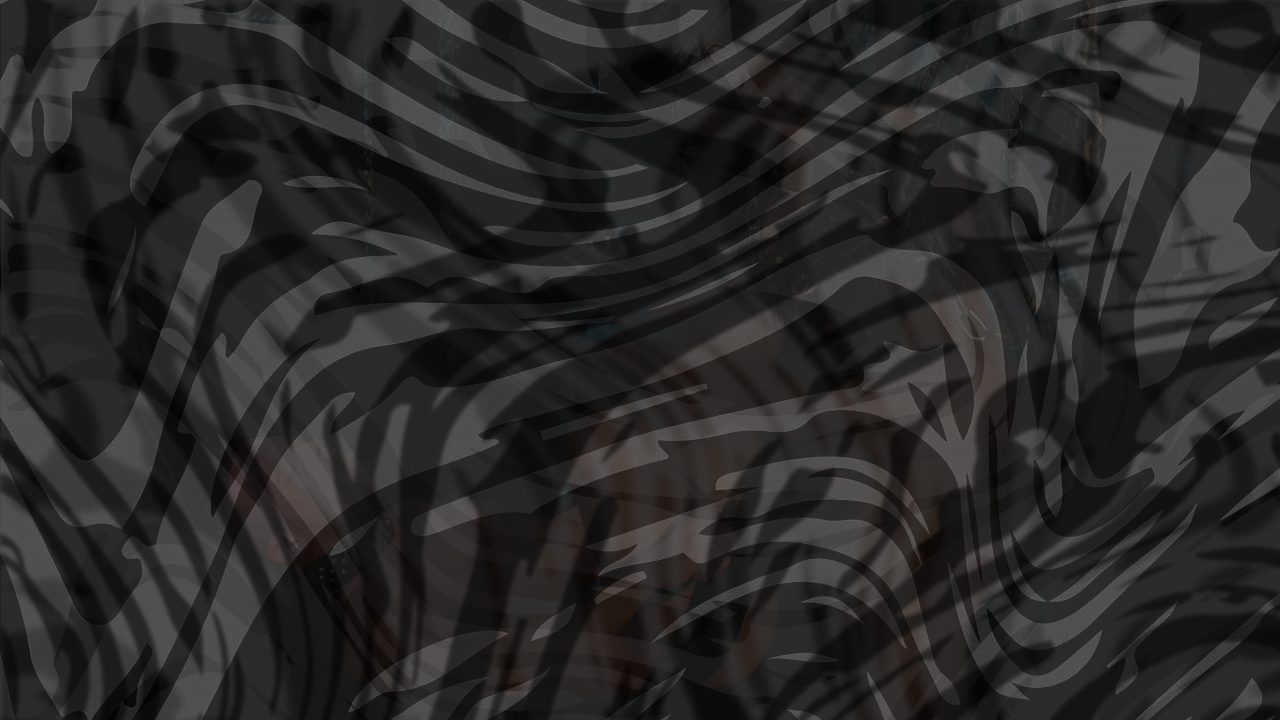 Photo of HOG: THE LEATHER FILE Scene 3