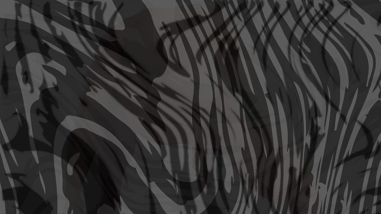 Photo of WINDOWS - Ray Dragon
