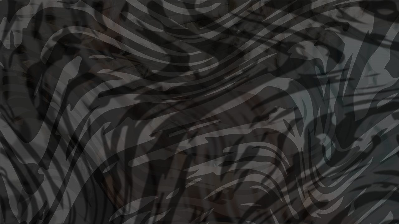 Photo of Splish Splash Scene 1