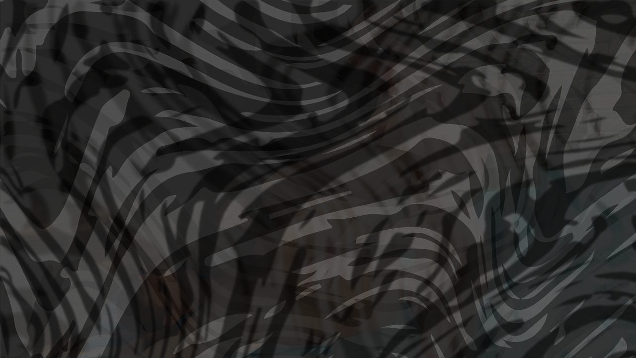 Photo of Splish Splash Scene 1