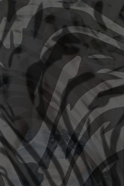 Photo of Toby