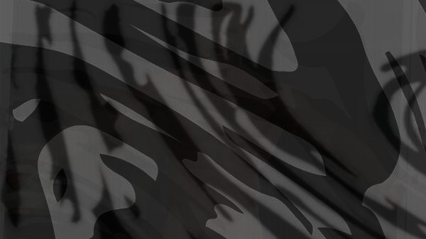 Image of Muscle
