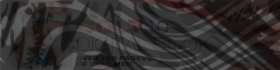 Banner of Digital_COLT_40_Book