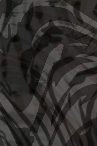 Photo of Peter Shadow