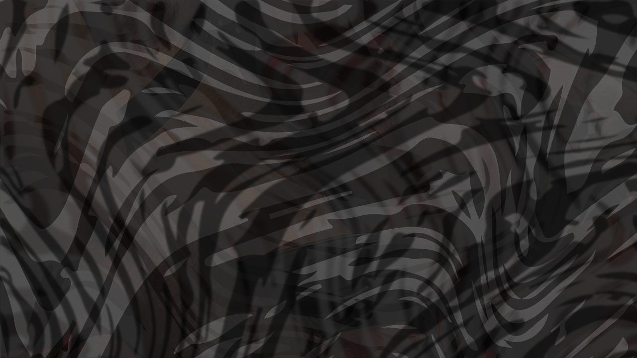 Photo of Armour Scene 3