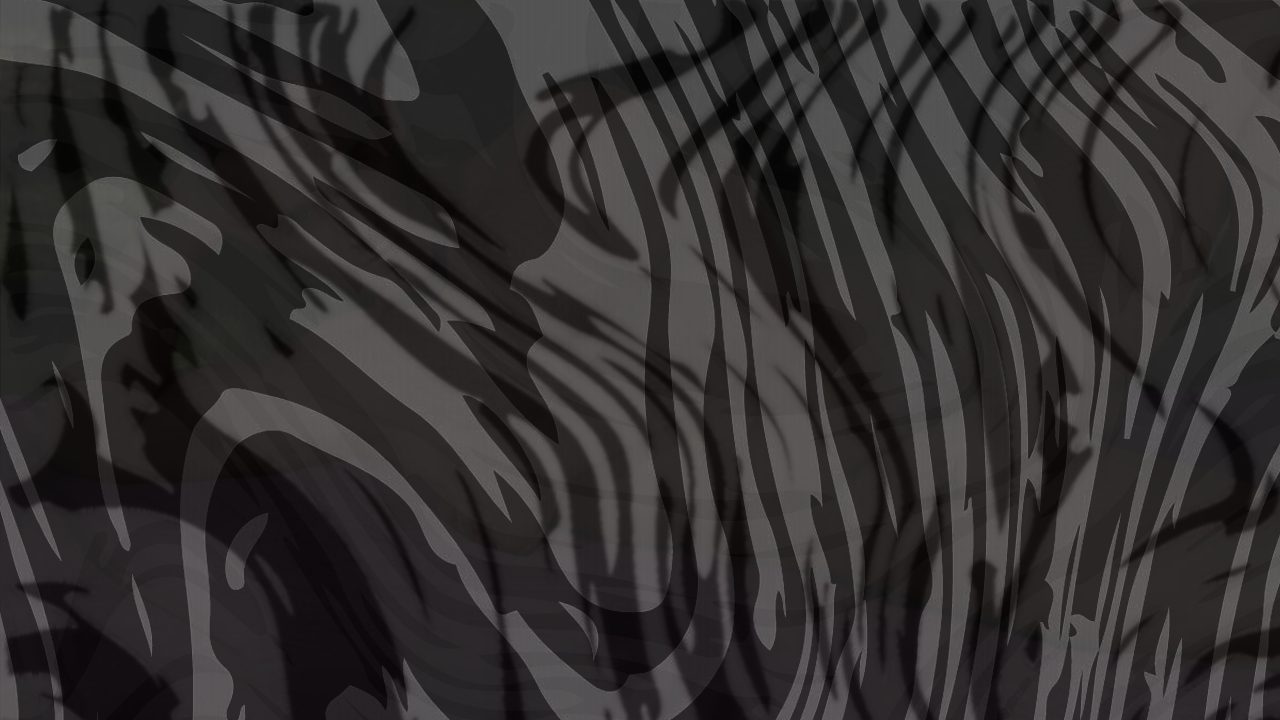Photo of WINDOWS - Ray Dragon