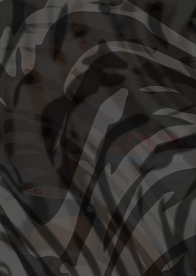 Photo of LEGENDARY BODIES 2