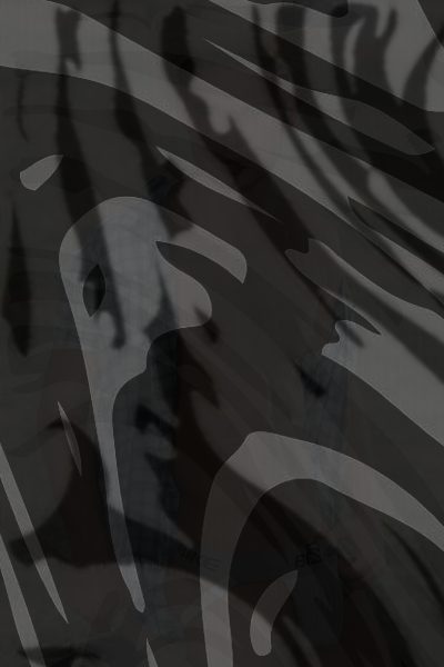 Photo of Zach Alexander